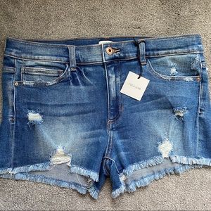 BRAND NEW Distressed Jean Shorts
